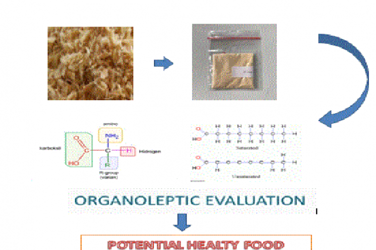 Graphical Abstract