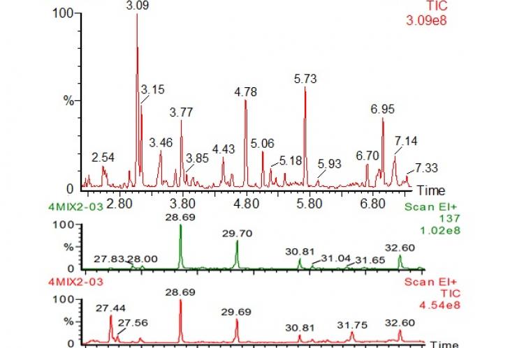 GC-MS of the extracts from natural mixtures 1 and 2.