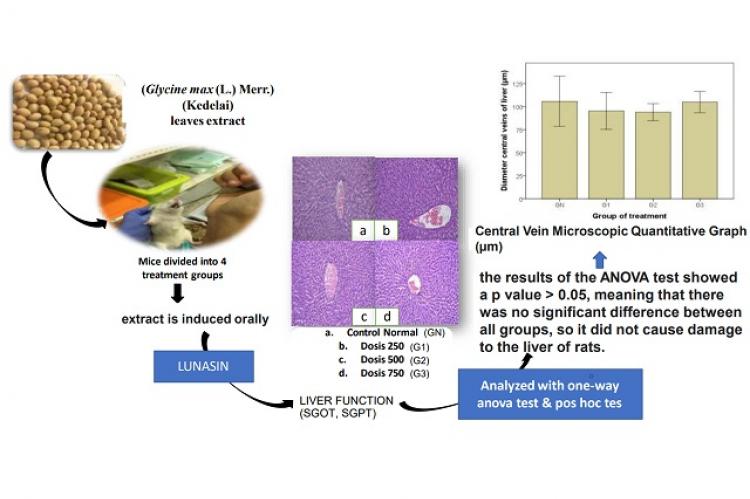 Graphical Abstract