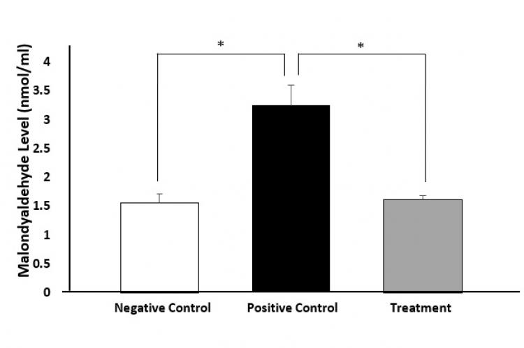 Syzygium cumini’s extract decreased malondialdehyde