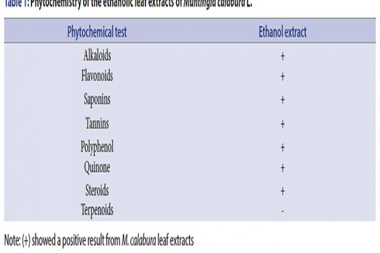 Phytochemistry of the ethanolic leaf extracts of Muntingia calabura L.