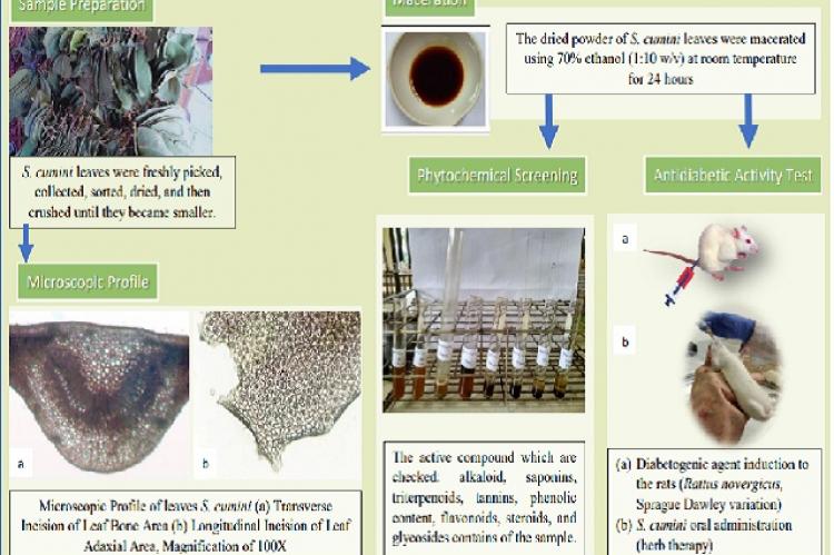 Graphical Abstract