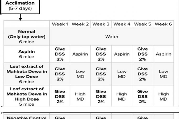 Treatment for mice group for 7 weeks.