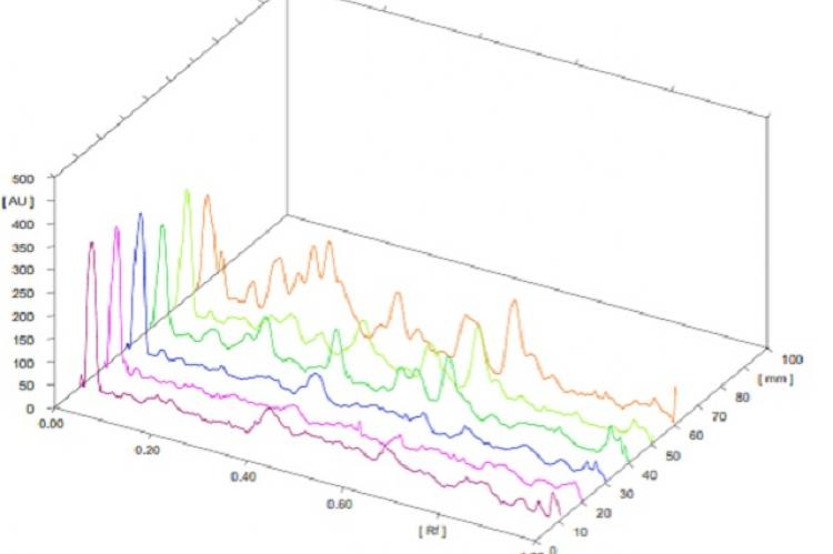 Spectra FTIR of P. scutellariodes varieties, A. Ethanol extract by maceration, B. Ethanol extract by soxhlet