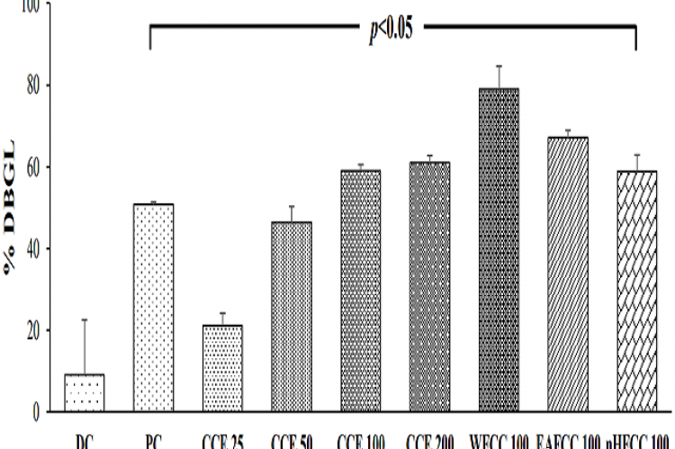 % Decrease of blood glucose level (% DBGL) of extract and fractions of C. costata. DC: Diabetic control (PGA 1% suspension). PC: Positive control (glibenclamide dose 5 mg/kgBW). CCE 25: Ethanol extract of the C. costata leaves dose 25 mg/kgBW. CCE 50: Ethanol extract of the C. costata leaves dose 50 mg/kgBW. CCE 100: Ethanol extract of the C. costata leaves dose 100 mg/kgBW. CCE 200: Ethanol extract of the C. costata leaves dose 200 mg/kgBW. WFCC 100: Water fraction of the C. costata leaves dose 100 mg/kgBW