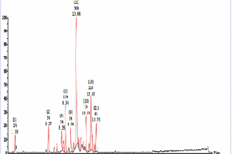 Positive mode UPLC-ESI-MS/MS chromatogram of ethyl acetate fraction of S. hispanica L. aerial parts.