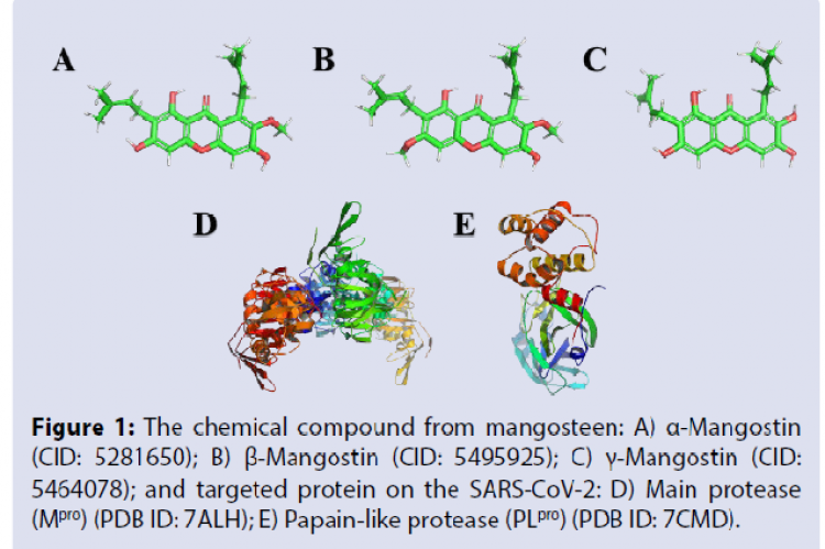 The chemical compound from mangosteen: A) α-Mangostin