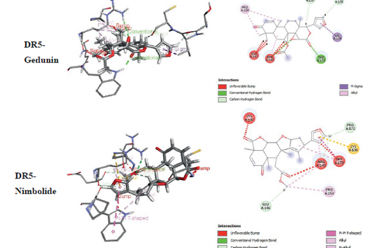 DR5 binding with gedunin and nimbolide in 2D diagram ligand interaction.