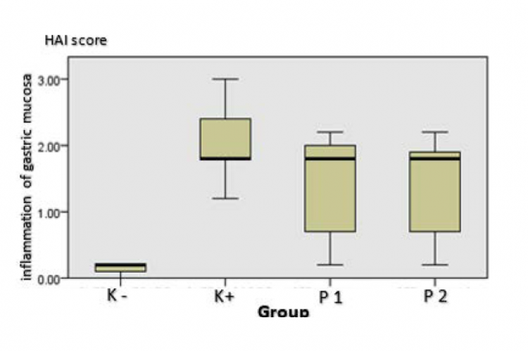 Box plot HAI score inflammation of gastric mucosa.