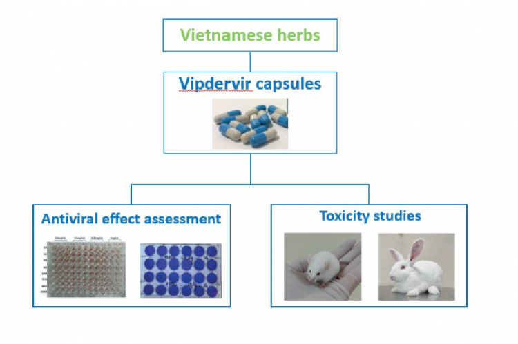 GRAPHICAL ABSTRACT