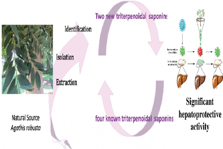 Graphical Abstract 