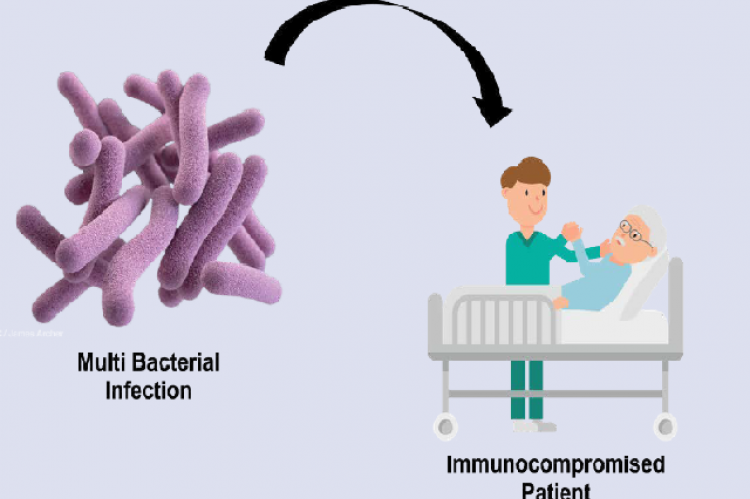 Graphical Abstract 