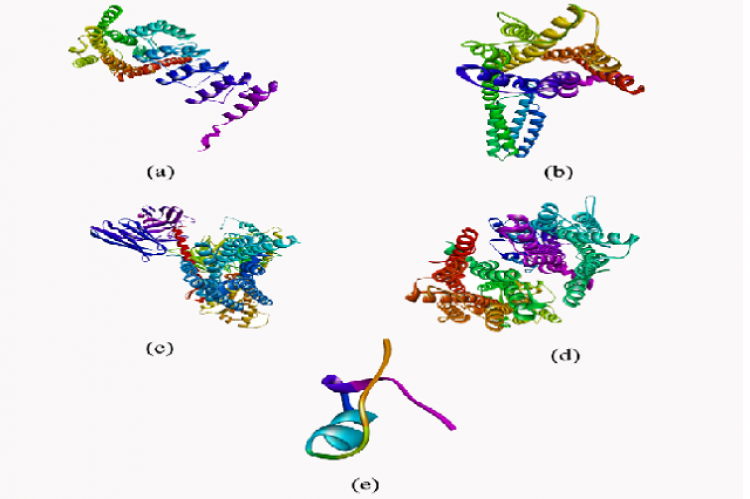 Molecule Structure (a) α1b- adrenergic (PDB ID 7b6w; DOI: http://doi.org/10.2210/pdb7B6W/pdb); (b) α2a- adrenergic (PDB ID 6kux;