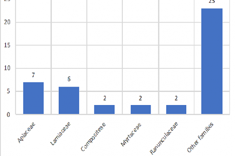 Frequency of botanical families.