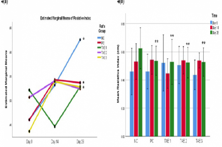 BMI changes in 5 rats’ groups with or without TAE administrations. (