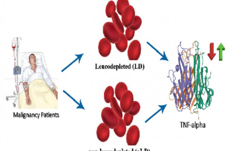 Graphical Abstract 