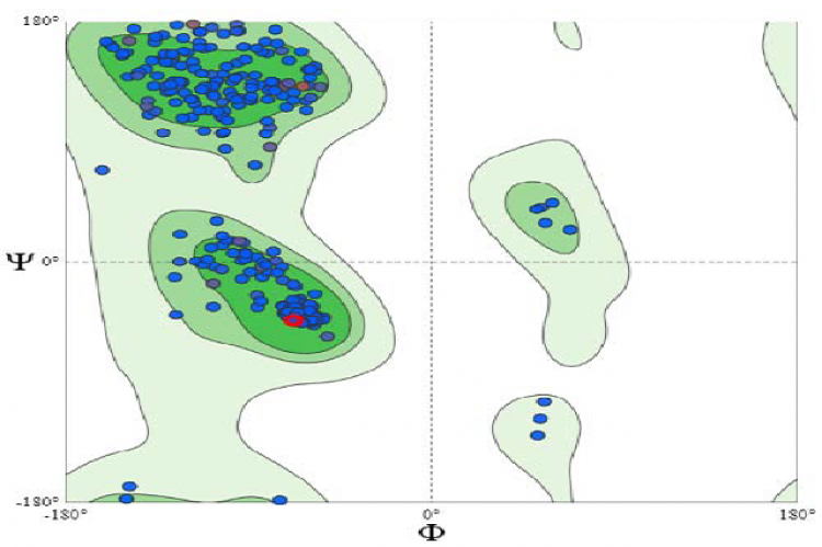 Protein 3CLpro receptor validation.