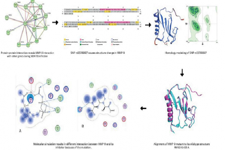 Graphical Abstract 