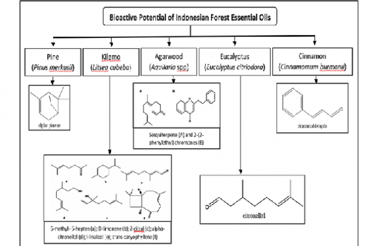 Graphical Abstract 