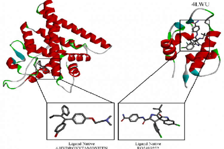 Visualization of ligand native and targeted protein.