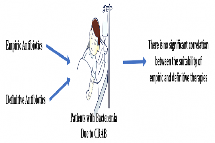 Graphical Abstract 