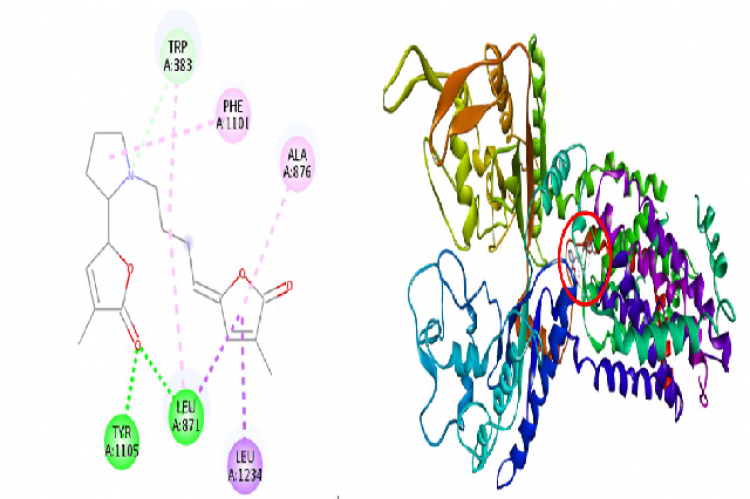 The profile of interaction of pandamarilactonine A with NPC1L1 (PDB ID 7DFZ). Red circle: binding site of the alkaloid.