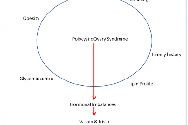 Graphical  Abstract  