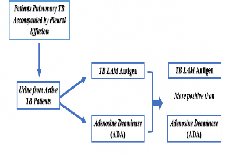 Graphical  Abstract  