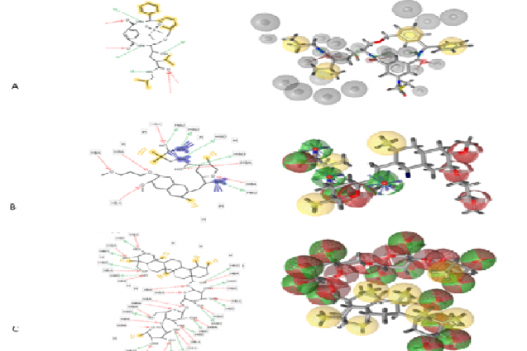 Native compounds in renin, B. renin control inhibitor compounds, and C compounds madecasoside pharmacophore results. Figure 4: