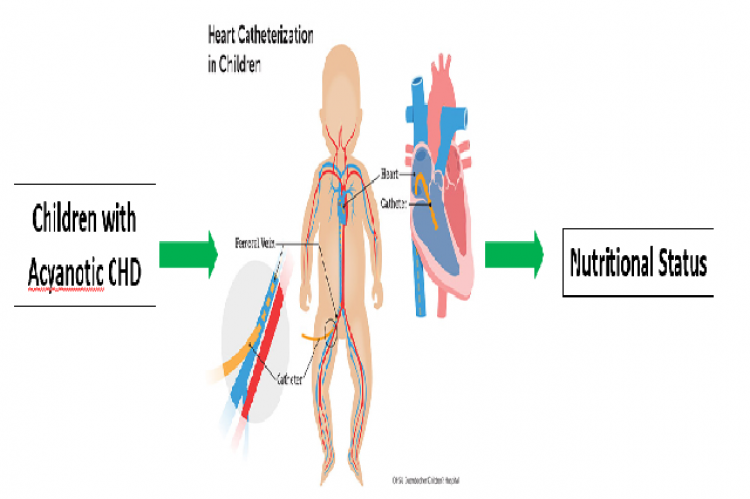 Graphical  Abstract  