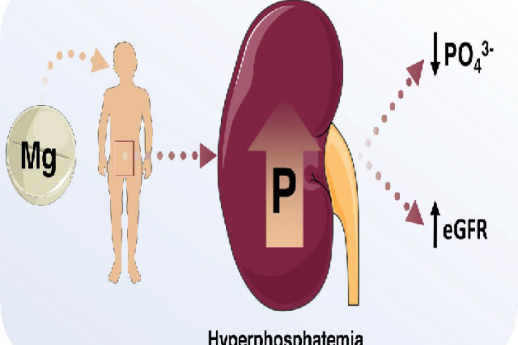 Graphical  Abstract  