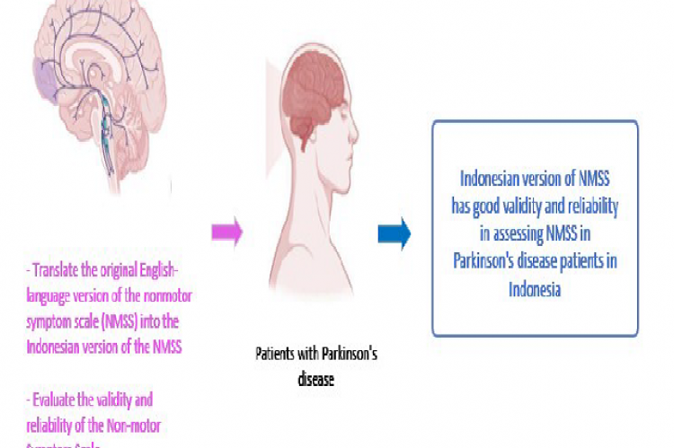 Graphical  Abstract  