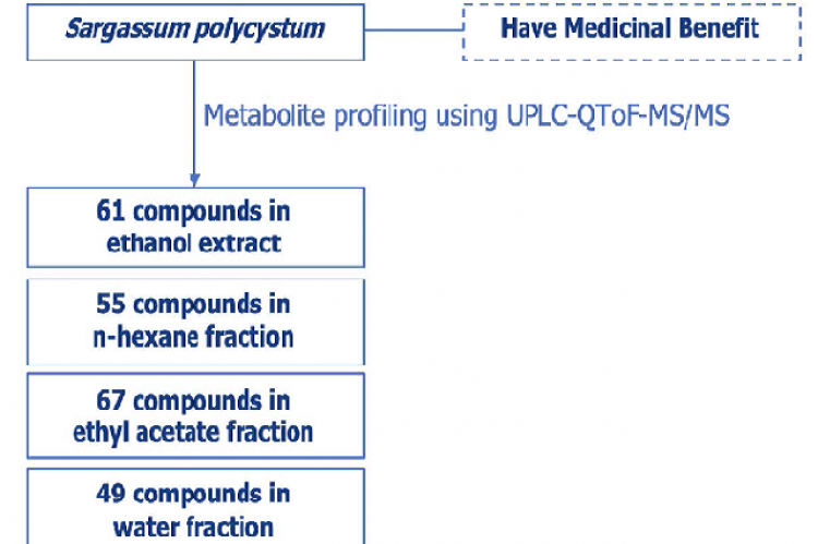 Graphical  Abstract  