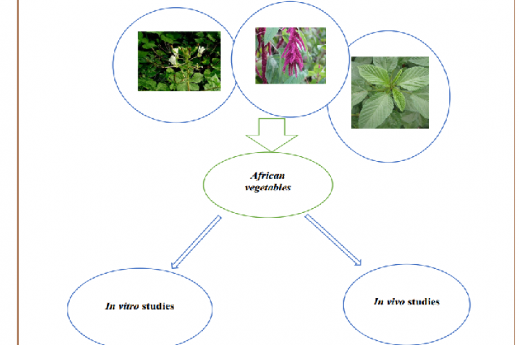 Graphical  Abstract  