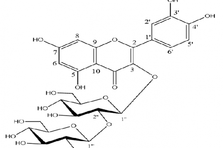 Structure of structure of quercetin-3-O-sophoroside