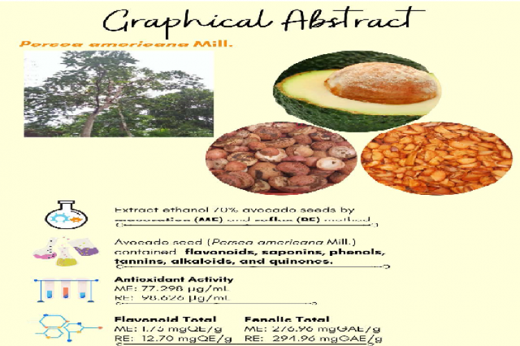 Graphical  Abstract  