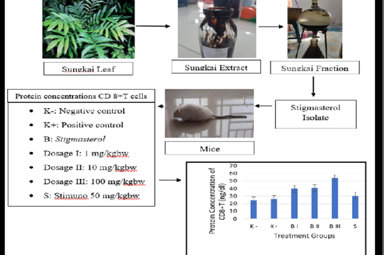 Graphical Abstract