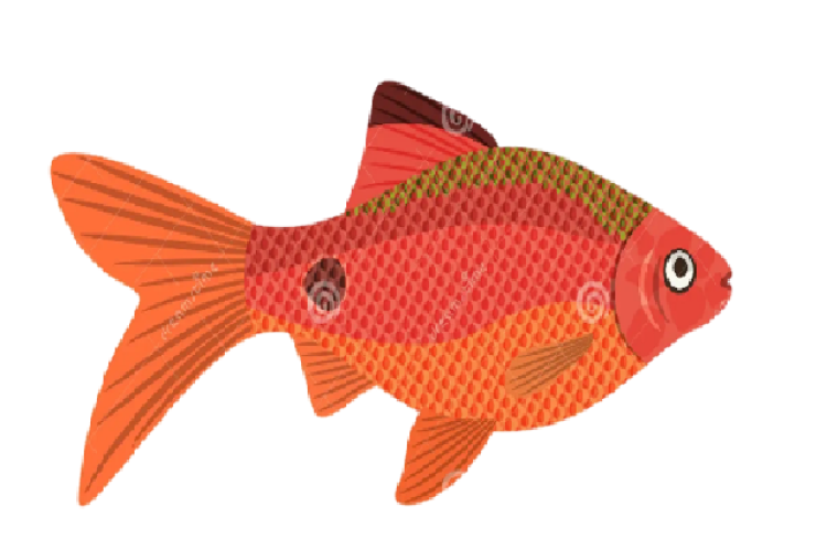 Graphical Abstract