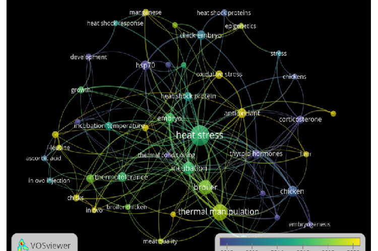Most used words in author's keyword of previous studies related to heat stress on embryo of chicken