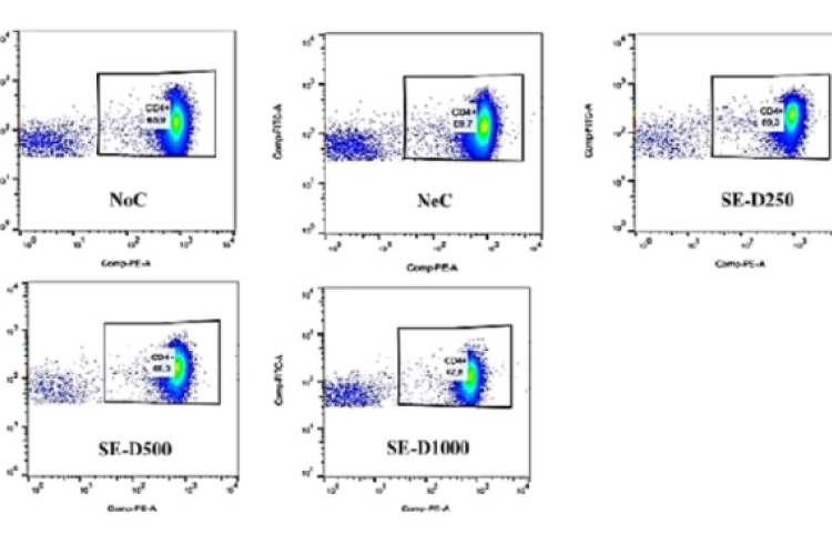 A representative depiction of (A) CD4+ and (B) CD8+ proportions using flow cytometry