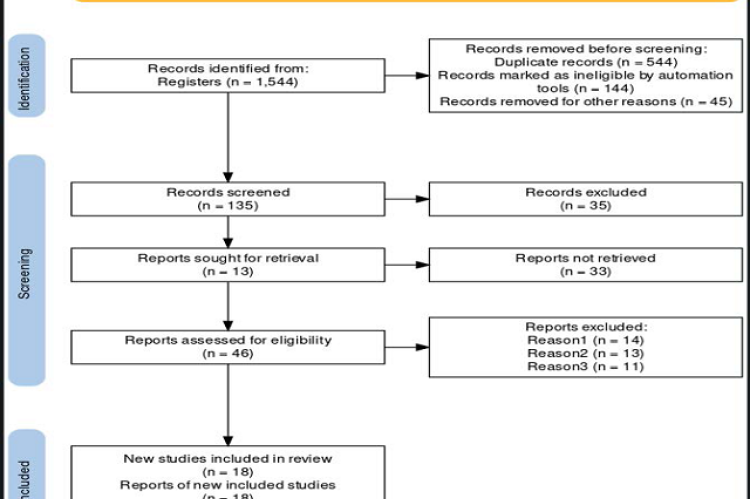 PRISMA Flow Diagram.