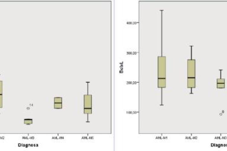 Boxplot of the number of blasts with CD34+ in each AML subtype (top image) and the highest Bcl-xL expression was found in the AML-M1 subtype (bottom image).