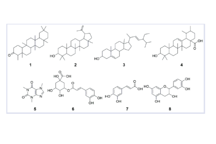 Structures of compounds 1-8.