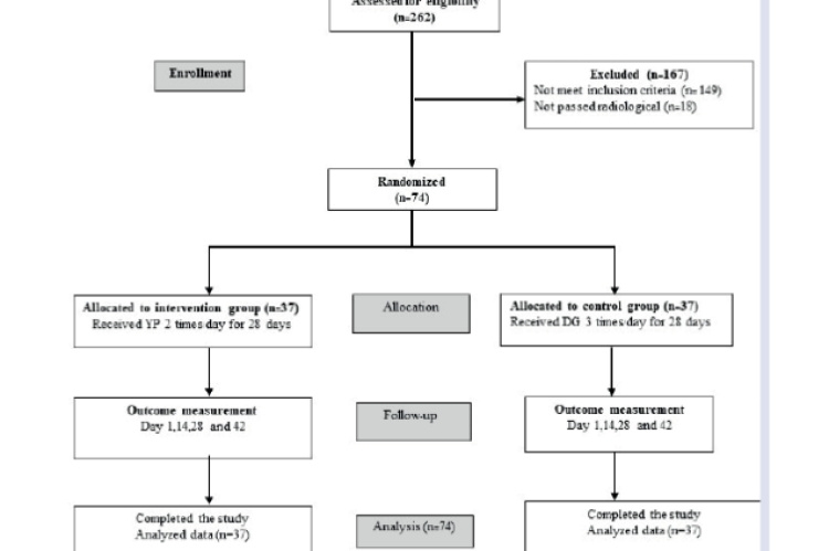 Flow chart of participants.