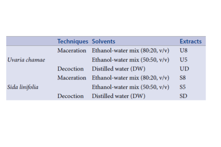 Uvaria chamae and Sida linifolia extracts preparation.
