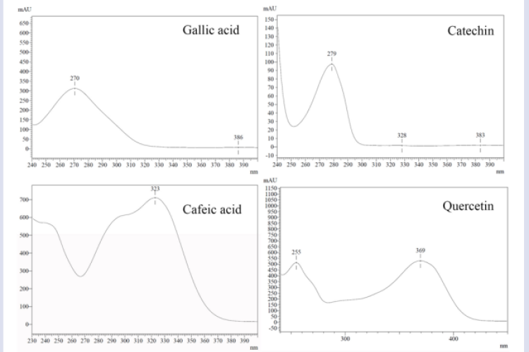 UV-vis absorbing spectrograms of gallic acid, catechin, caffeic acid, and quercetin