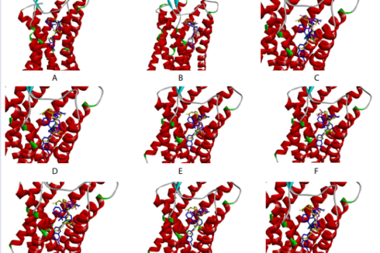 3D model of the molecular binding site on cysteinyl leukotriene receptor 1 (CysLTR1) for antiallergic agents. A) Leukotriene D4 (LTD4) (brown)  and montelukast (blue) share the same site. B) Binding of 6-dehydrogingerdione (purple). C) Binding of gingerenone-A (purple). D) Binding of gingerol  (purple). E) Binding of paradol (purple). (purple). F) Binding of quercetin (purple). G) Binding of zingerone (purple). H) Binding of zingiberol (purple). I)  Binding of α-farnesene (purple). J) Binding of zingiberene