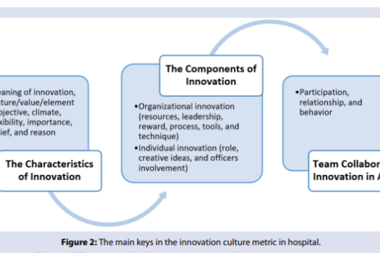 The main keys in the innovation culture metric in hospital.