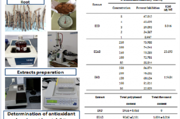 Graphical Abstract