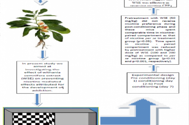 GRAPHICAL ABSTRACT